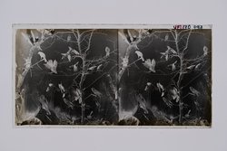 Stereofotografie, Negativ