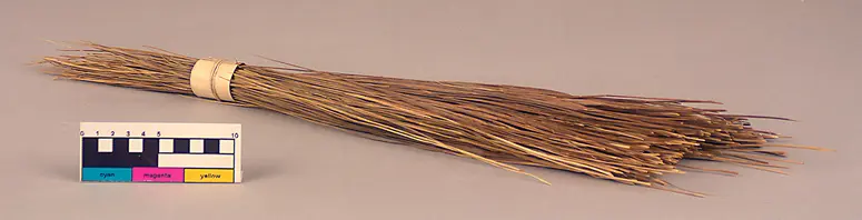Grass Sample