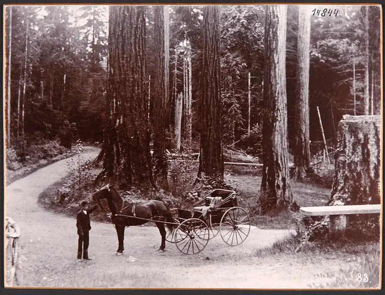 Australien, Arthurs Leigh Badgery Station. 24.V.1893