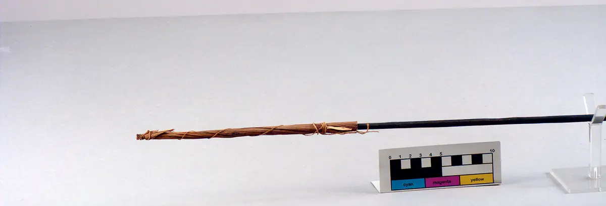 Poisoned war arrow with its tip stuck in a sheath made of leaves