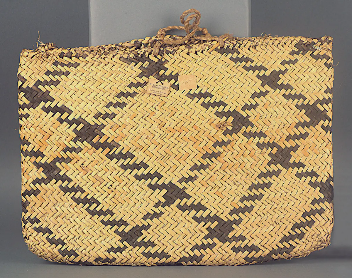 Bag