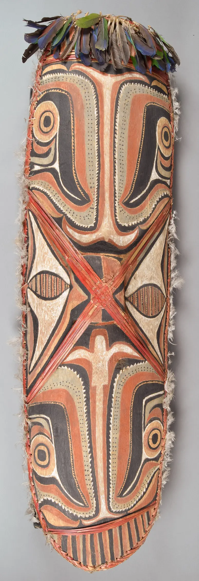 Shield