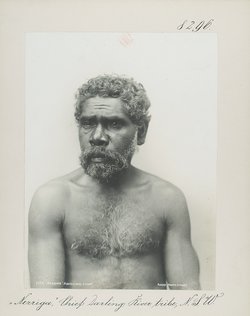 "Nerriga", Chief Darling River tribe, N.S.W.