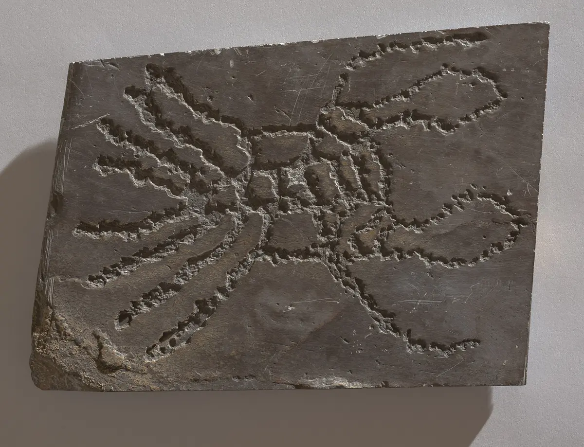 Felsgravierung: Krabbe