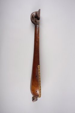 Instrument: Long-necked lute