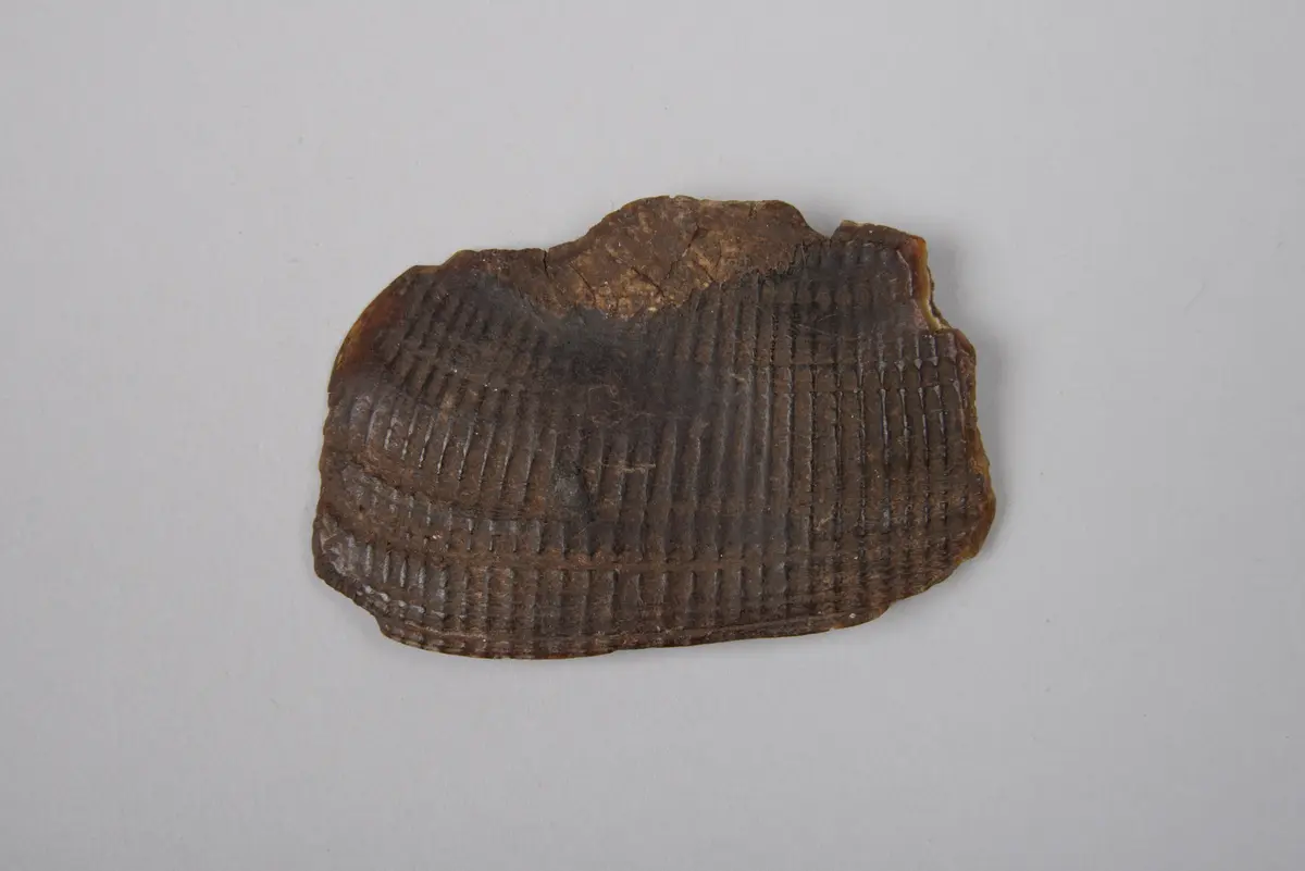 Löwenabwehr (Amulett)