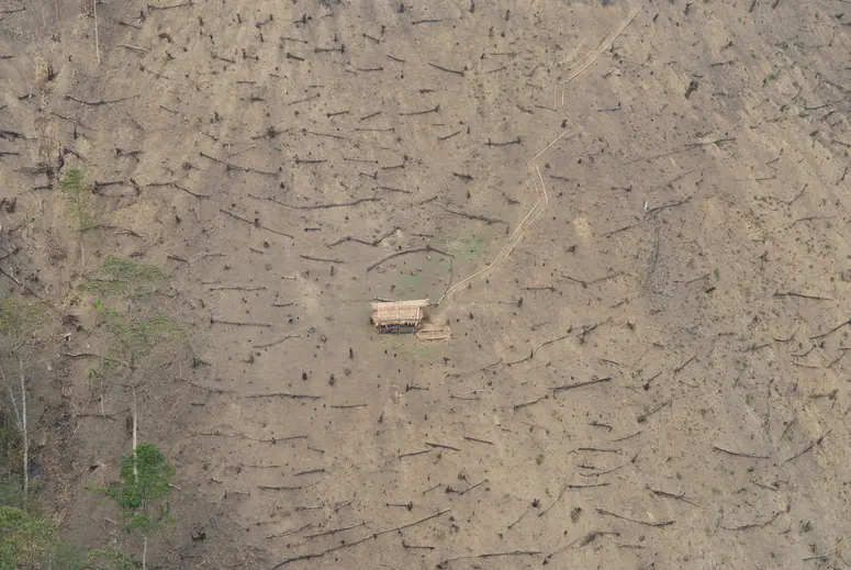 Landwirtschaft