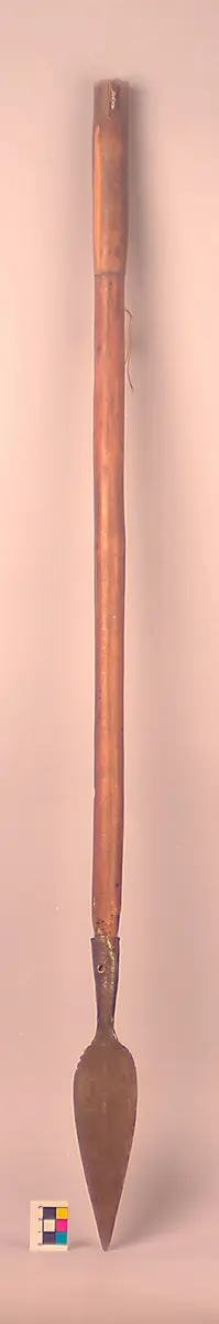 Holzspeer