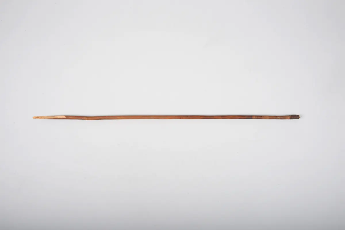Pfeilschaft zu Musikinstrument