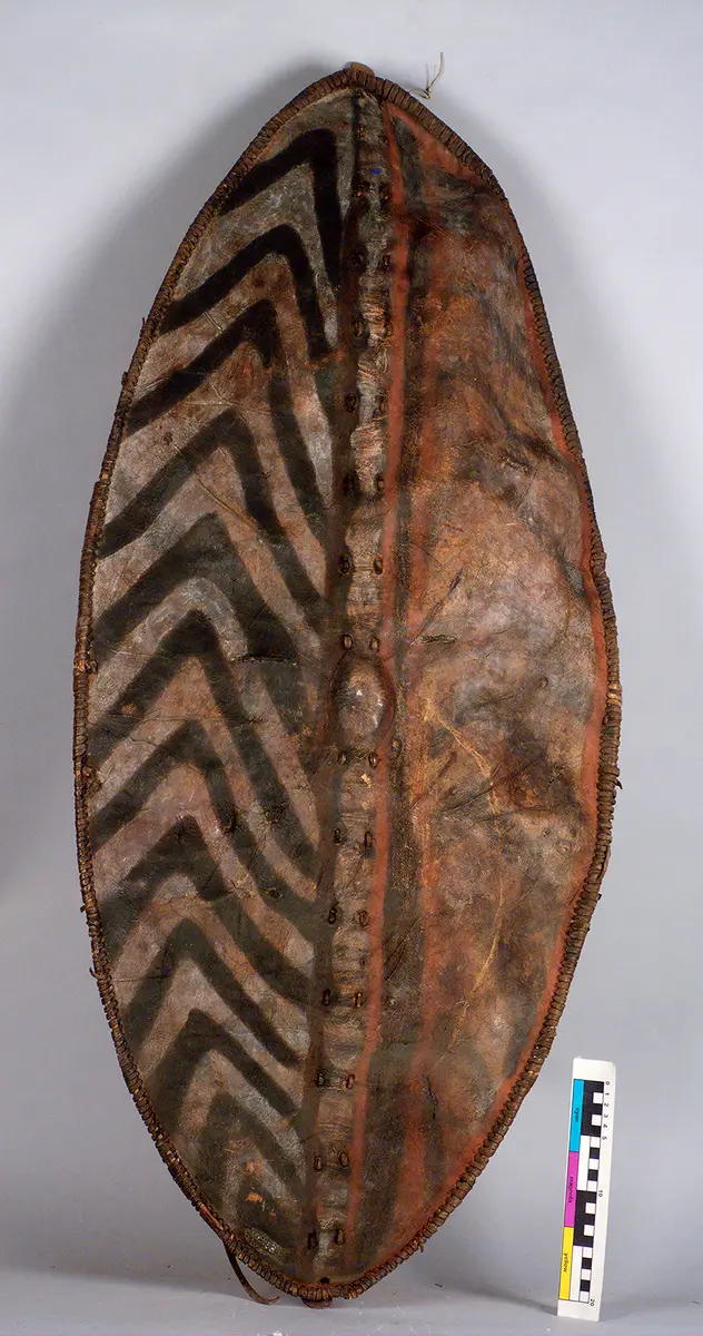 Shield