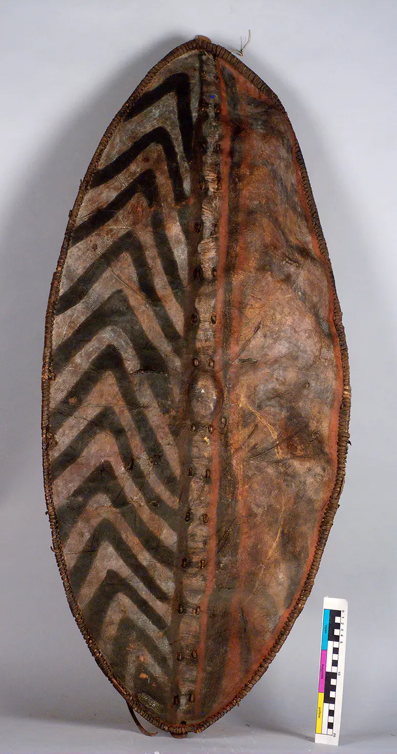 Shield