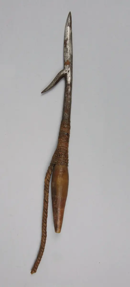 Spitze einer Krokodilharpune