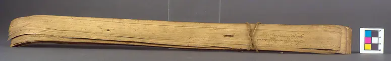 Text