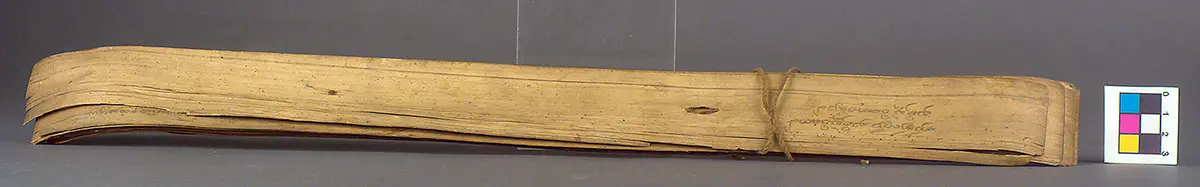Text