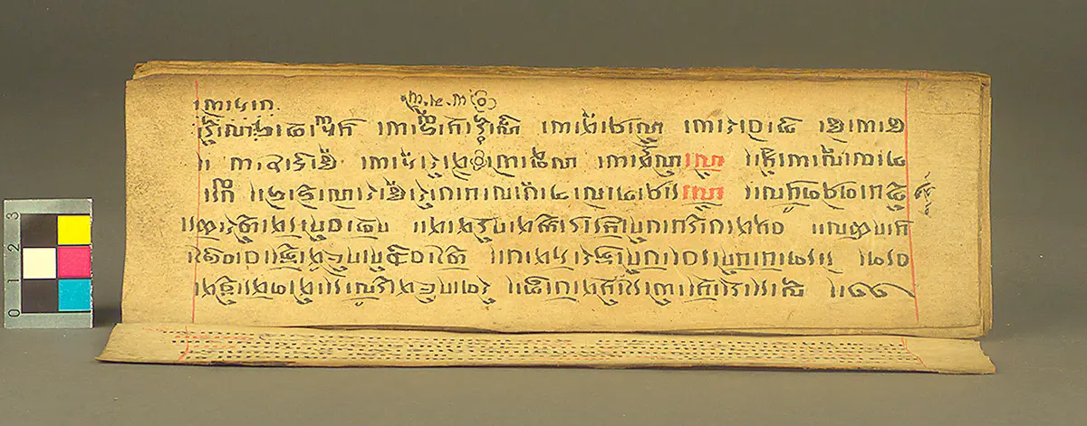 Text