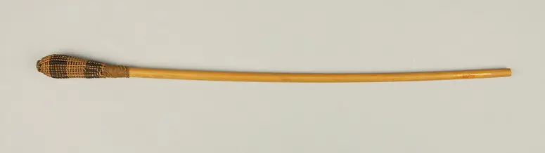 Saugrohr