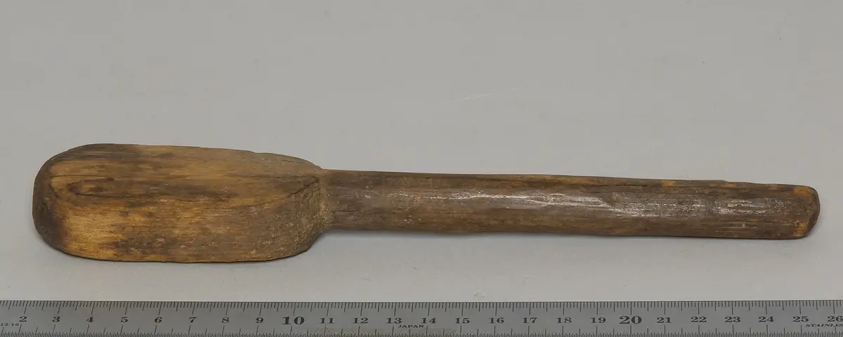 Schlegel