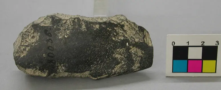 Steinbeil
