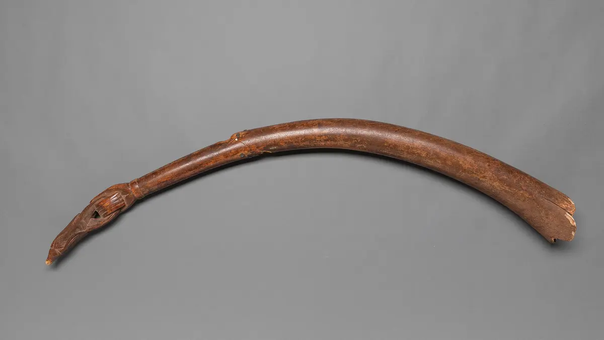 Elfenbeinblashorn