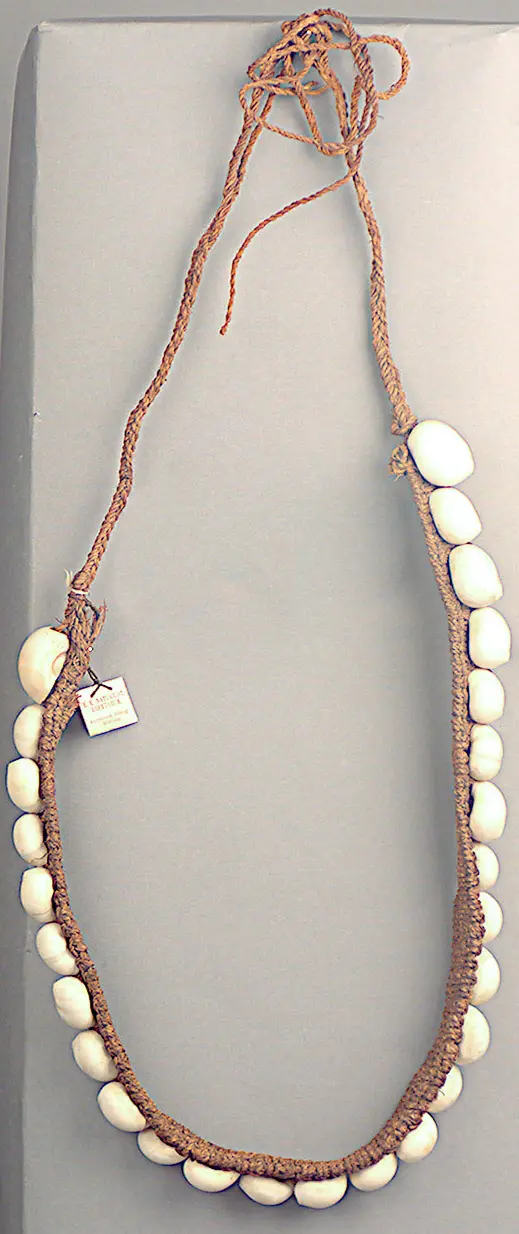 Belt with shells