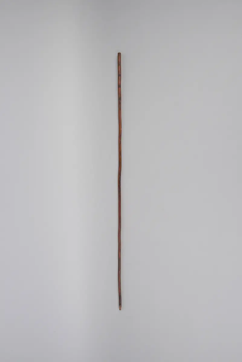 Spazierstock
