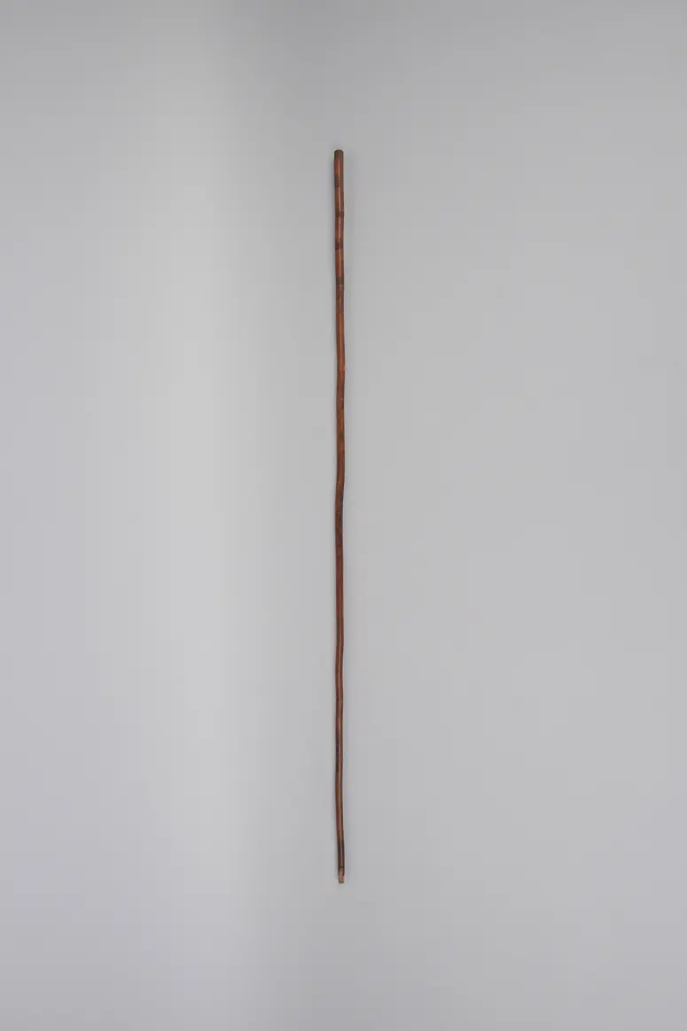 Spazierstock