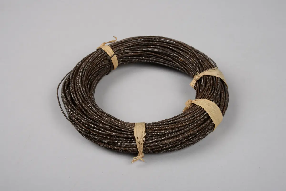 Wadenringe (56.287 - 56.304)