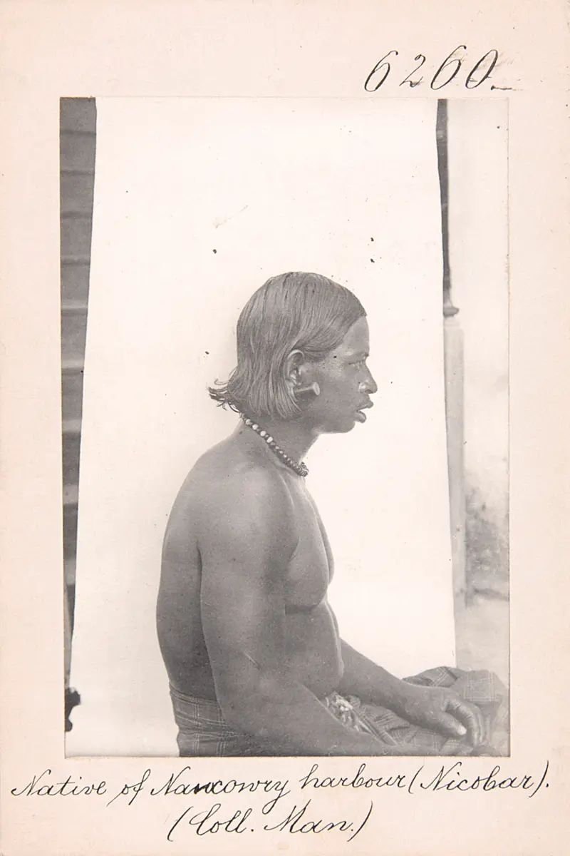 Native of Naucowry harbour (Nicobar)