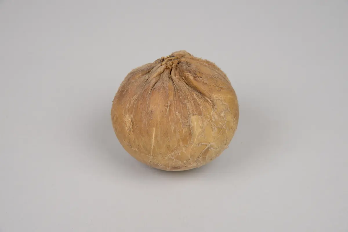Ball