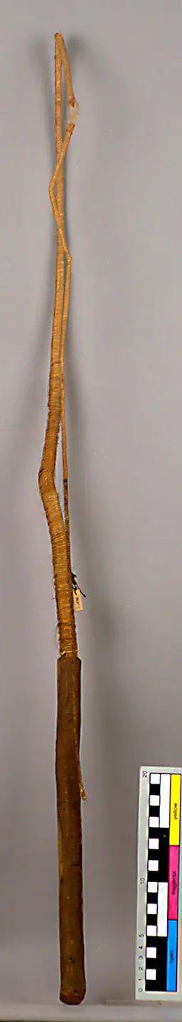 Ceremonial whip for the Yurupari ritual