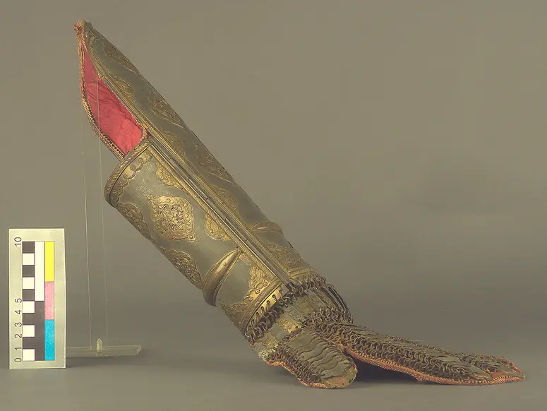 Armschiene und Handschutz
