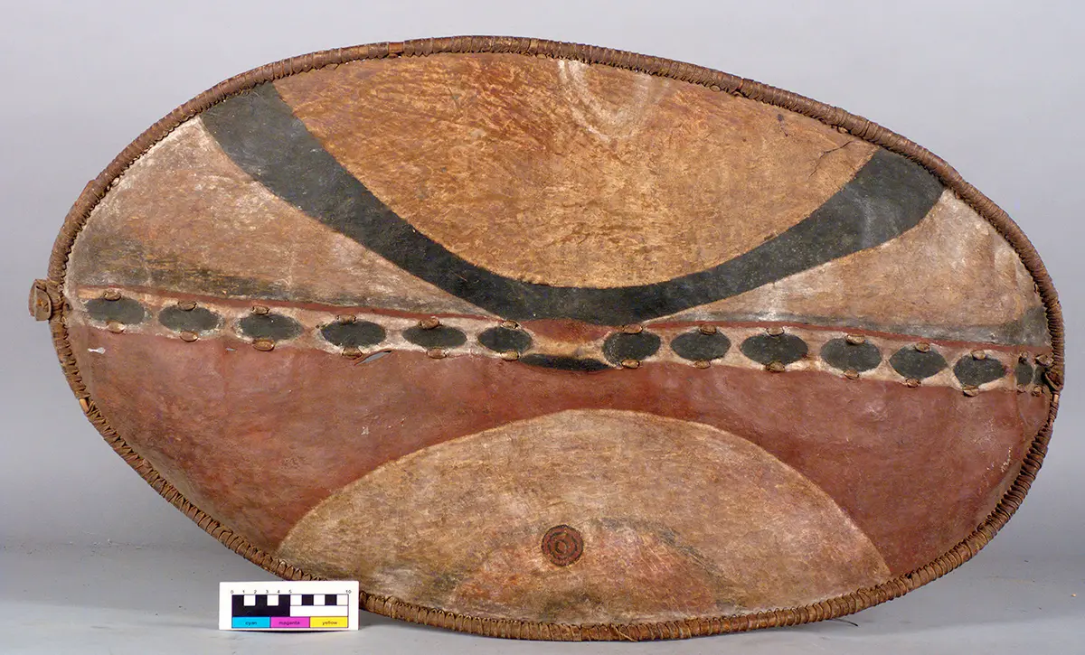 Shield