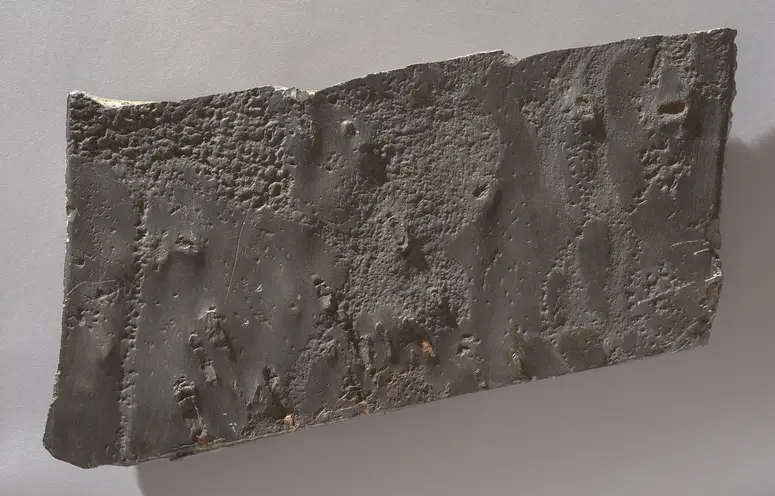 Felsgravierung: Fragment