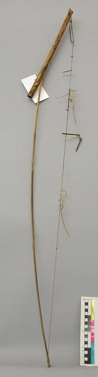 Vogelfalle