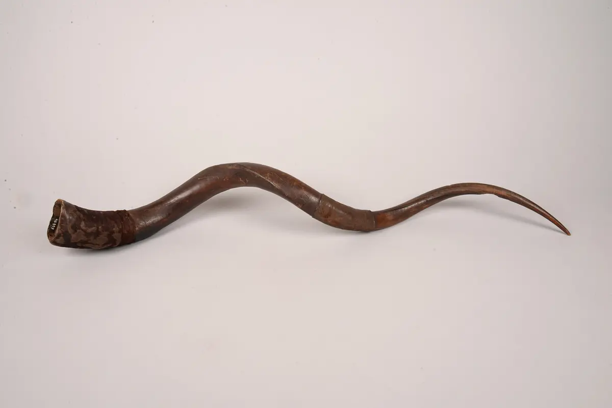 Trompete