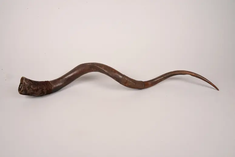 Trompete