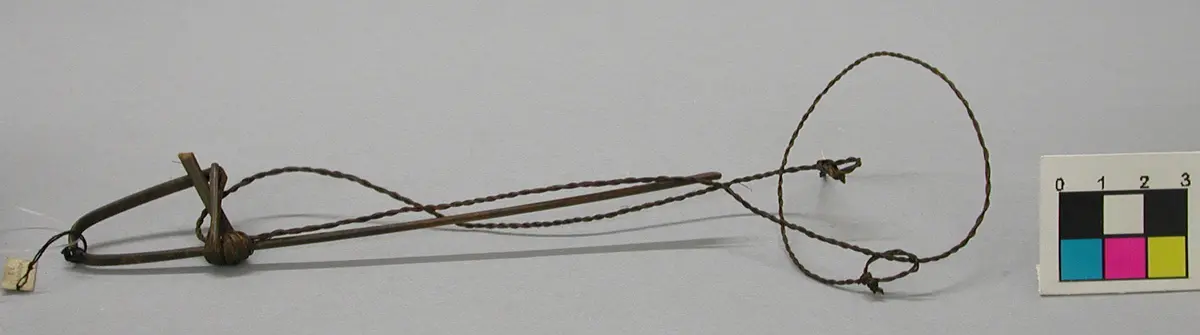 Vogelschlinge