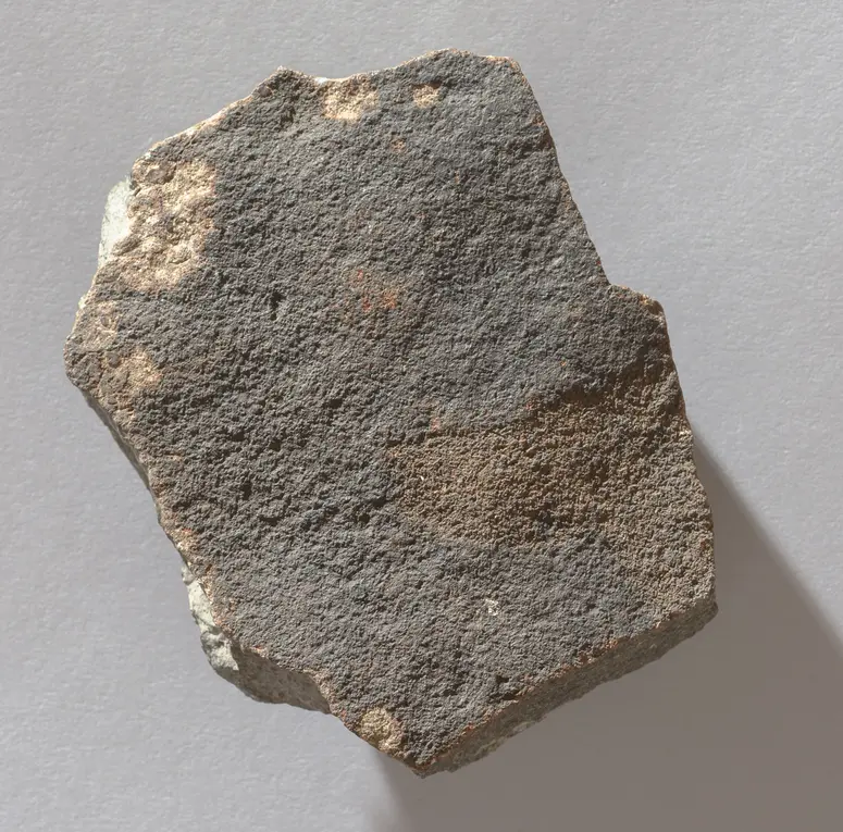 Felsgravierung: Rehantilope, Fragment