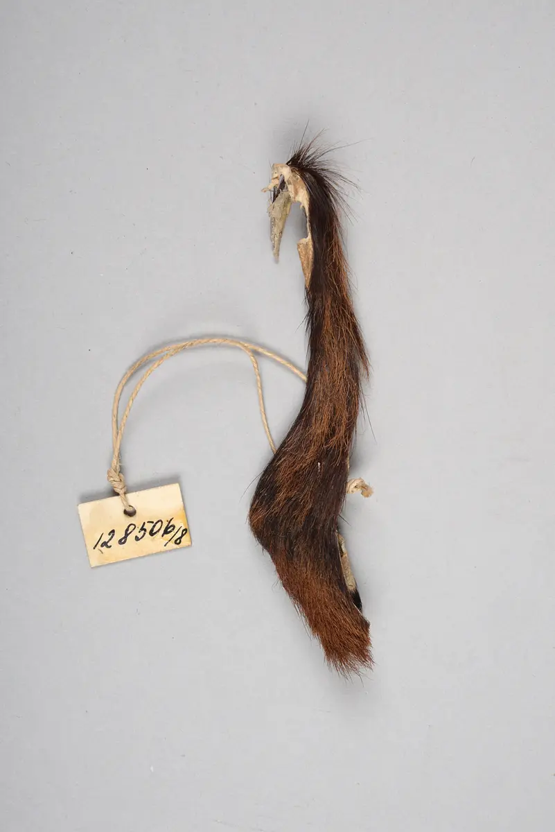 Fellstreifen (Amulett)