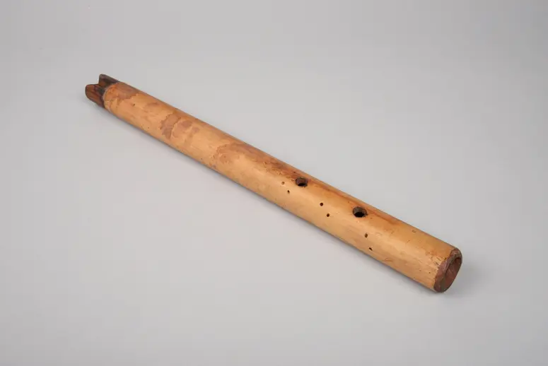Blasinstrument