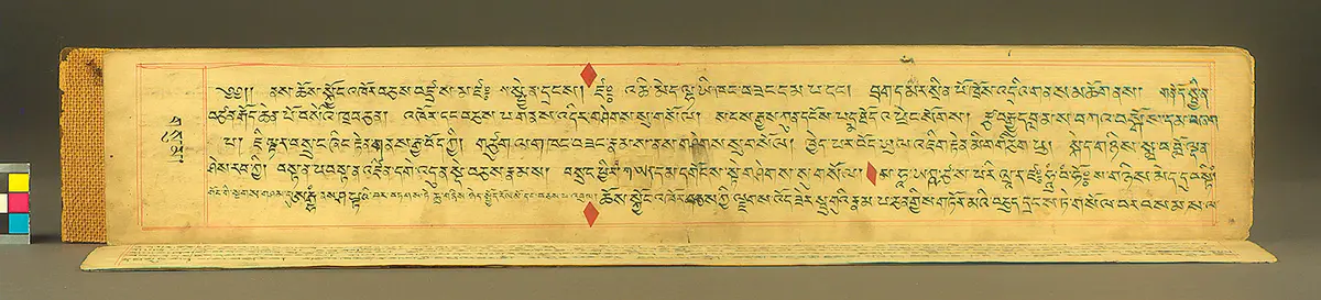 Text