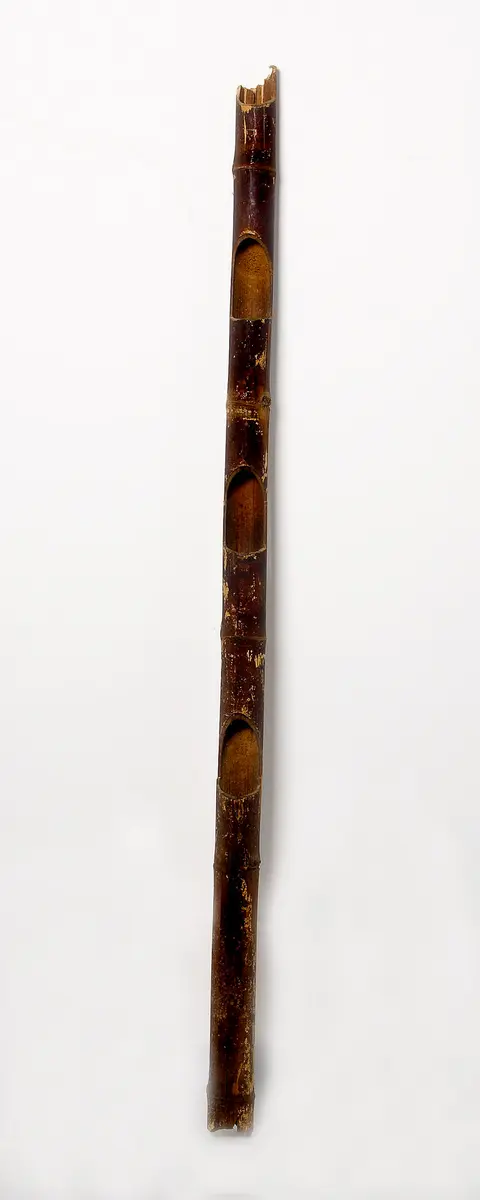 Daohalter (Nok pong)