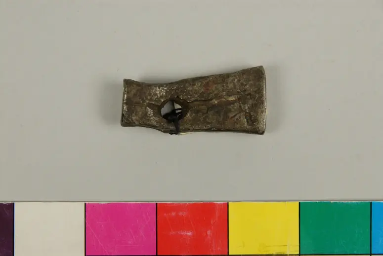 Hammer: Kopf