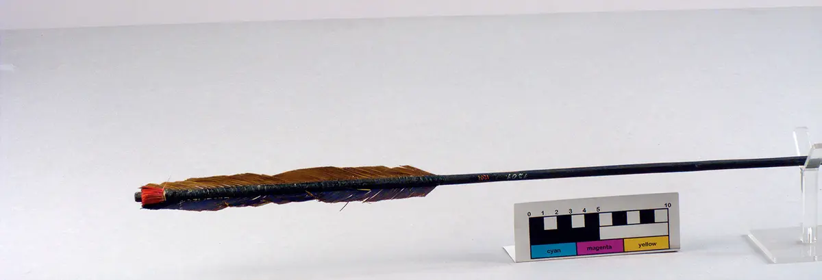 Poisoned war arrow with its tip stuck in a sheath made of leaves