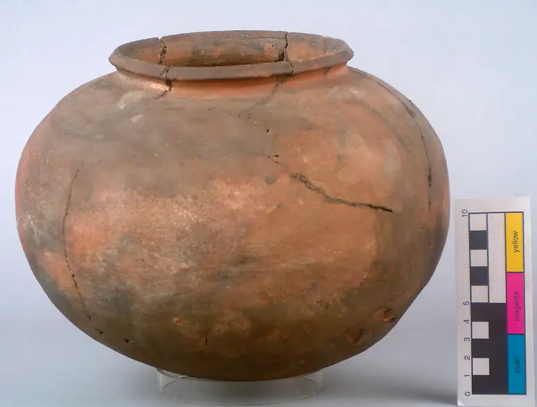 Pot