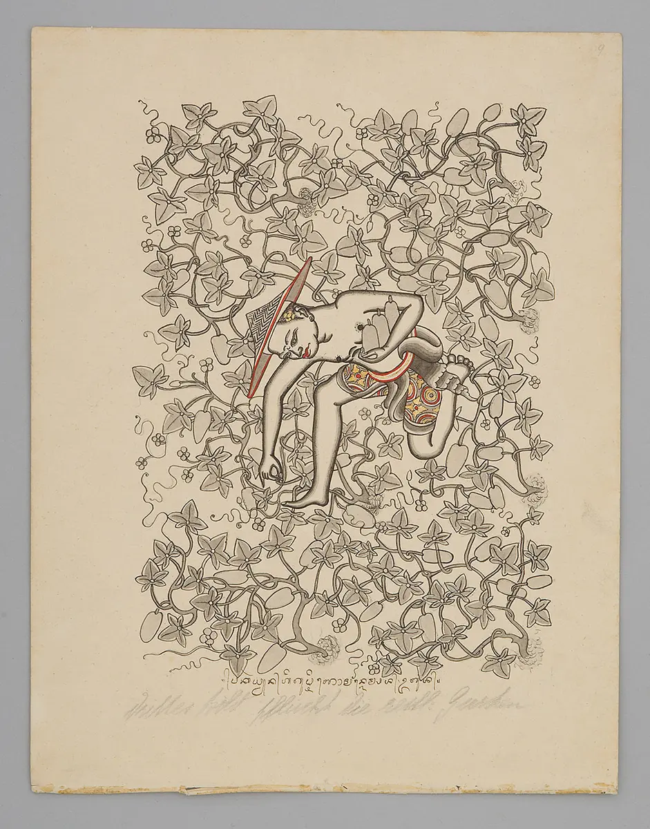 Pucung harvests cucumbers - Online Collection - Weltmuseum Wien