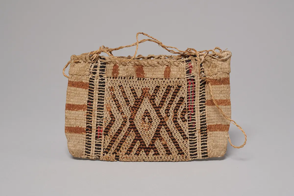 Pouch with Underwater Panther design