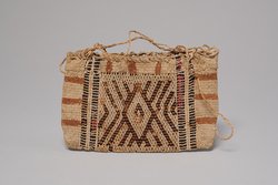 Pouch with Underwater Panther design