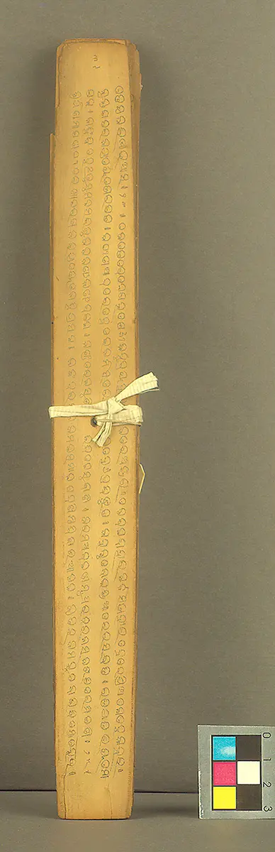 Text