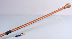 Signaltrompete